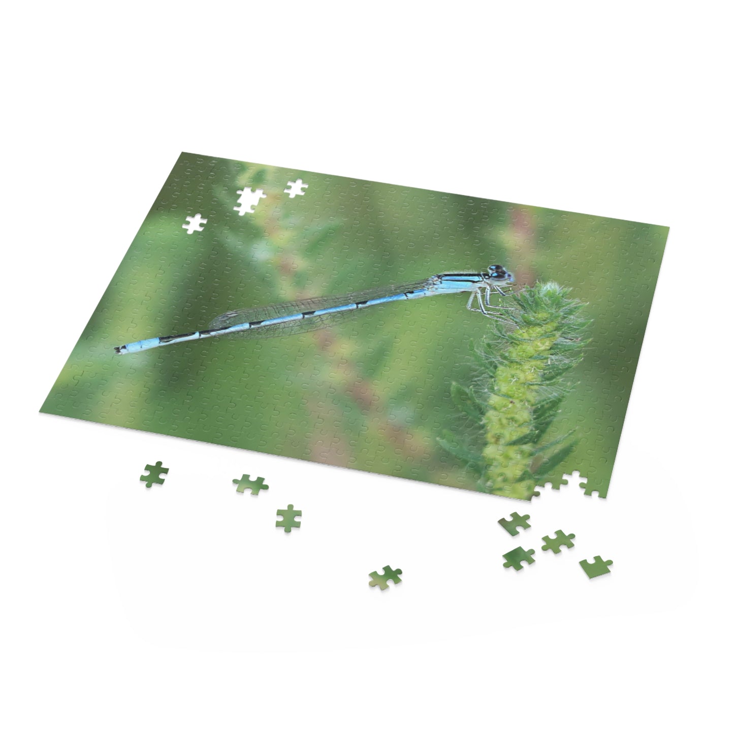 The Blue Dragonfly Puzzle (120, 252, 500-Piece)