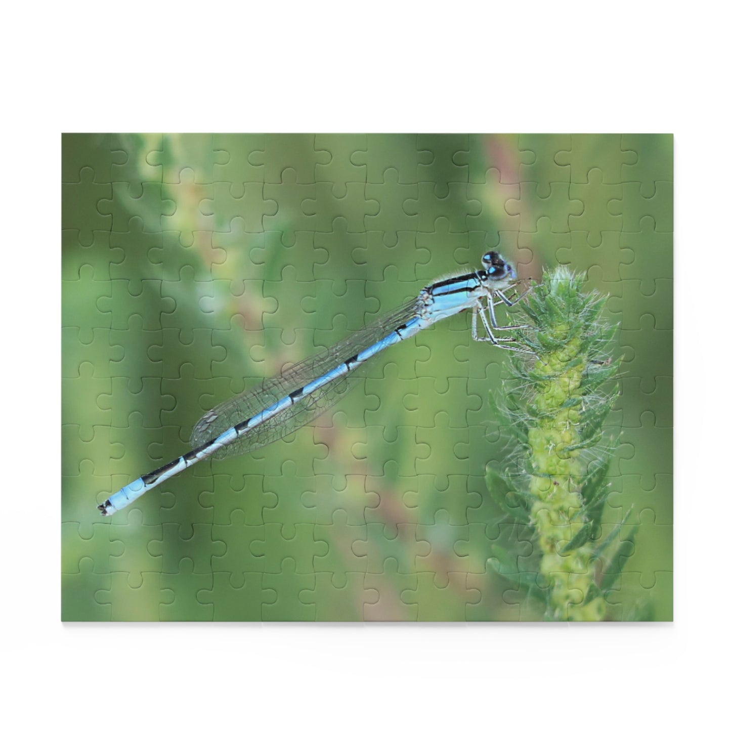 The Blue Dragonfly Puzzle (120, 252, 500-Piece)