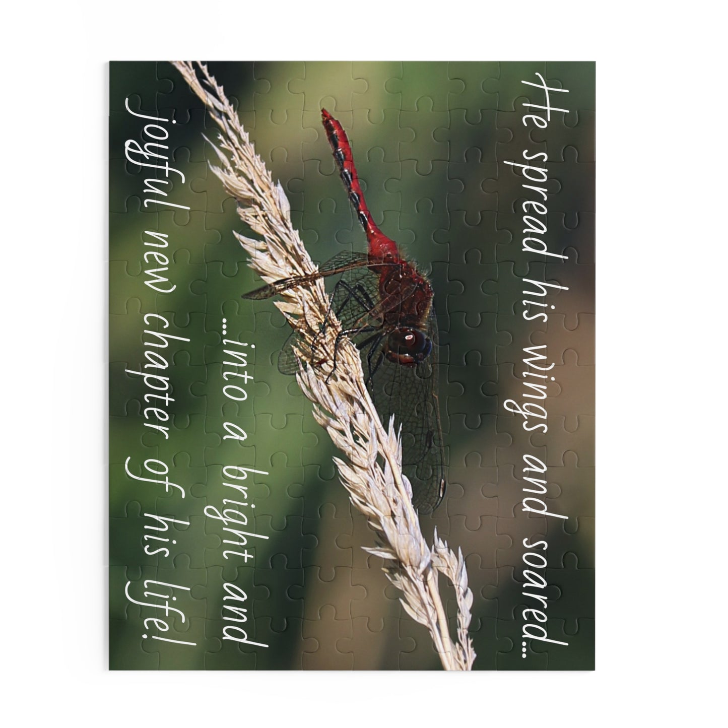 The Red Dragonfly Puzzle (120, 252, 500-Piece)