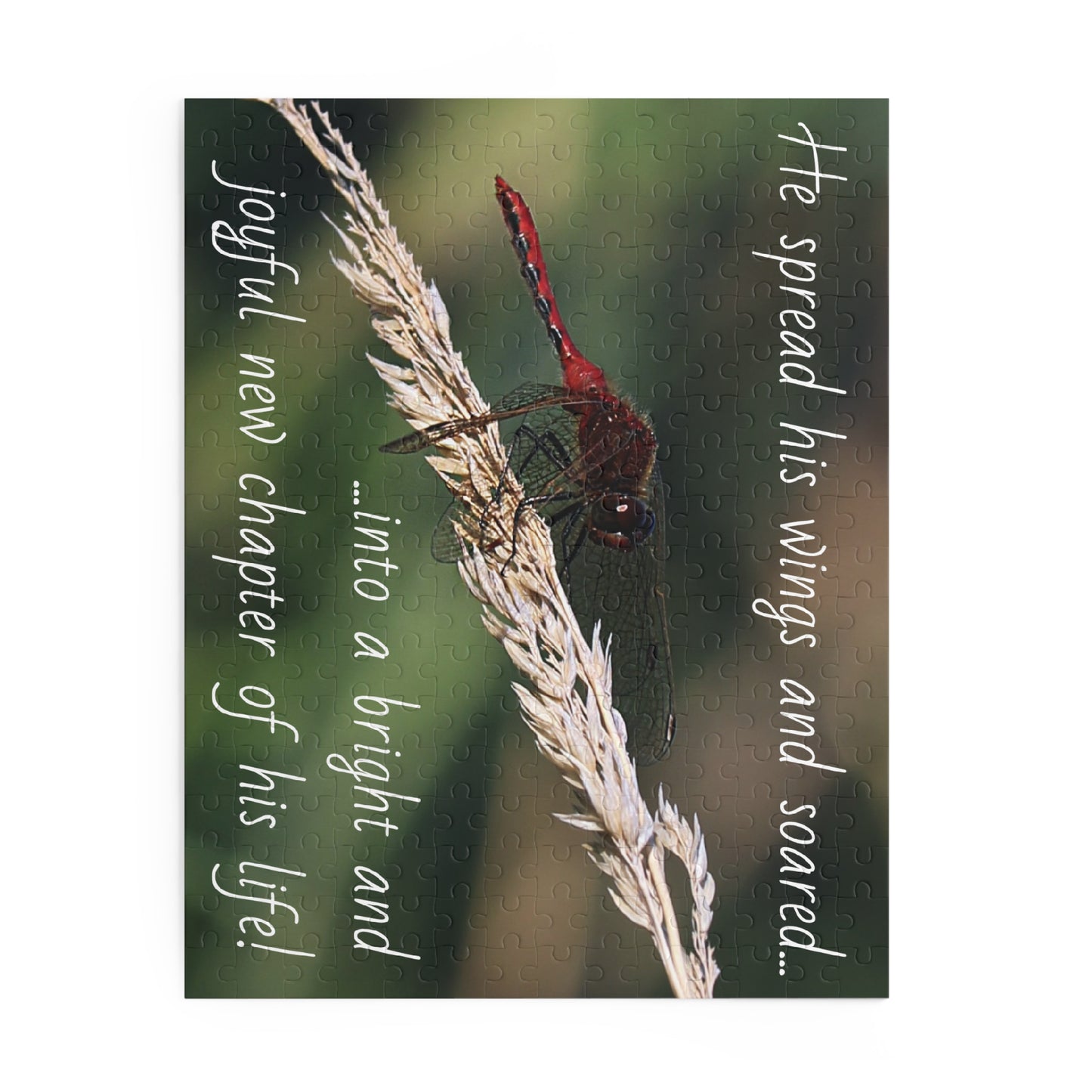 The Red Dragonfly Puzzle (120, 252, 500-Piece)