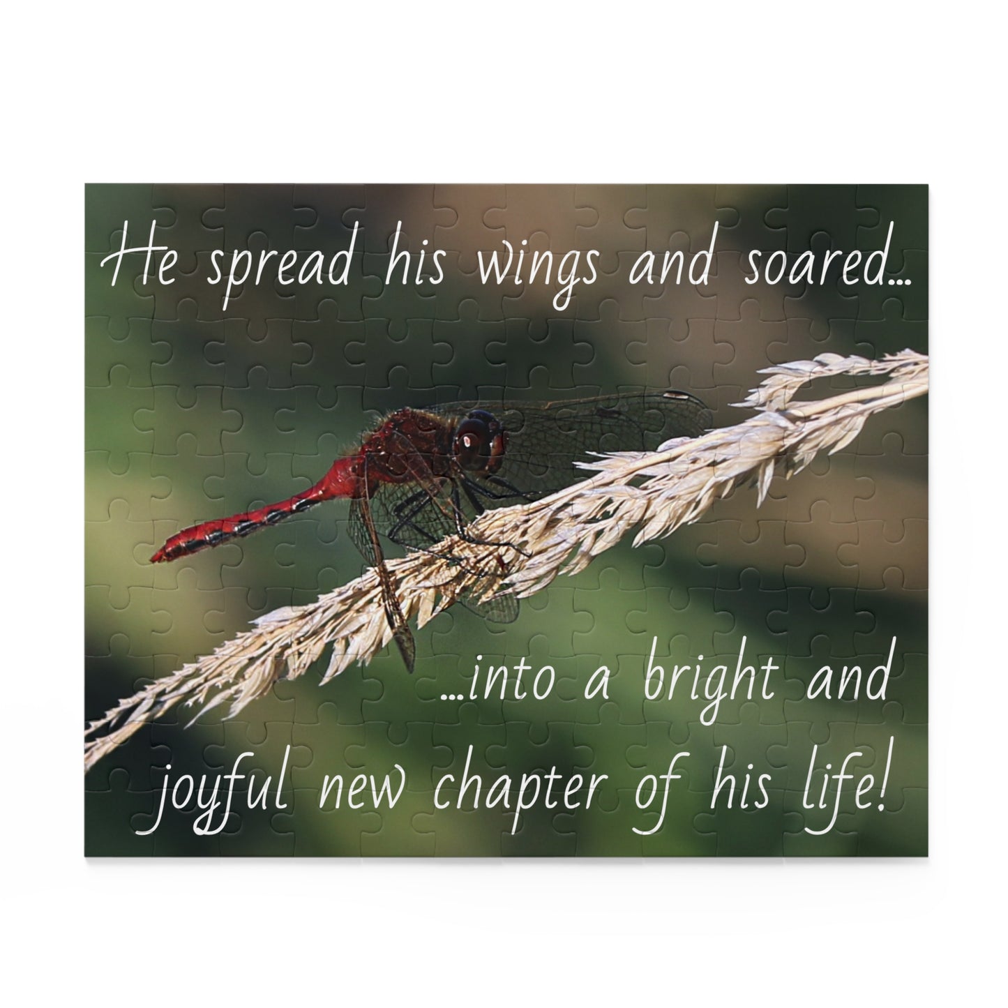 The Red Dragonfly Puzzle (120, 252, 500-Piece)