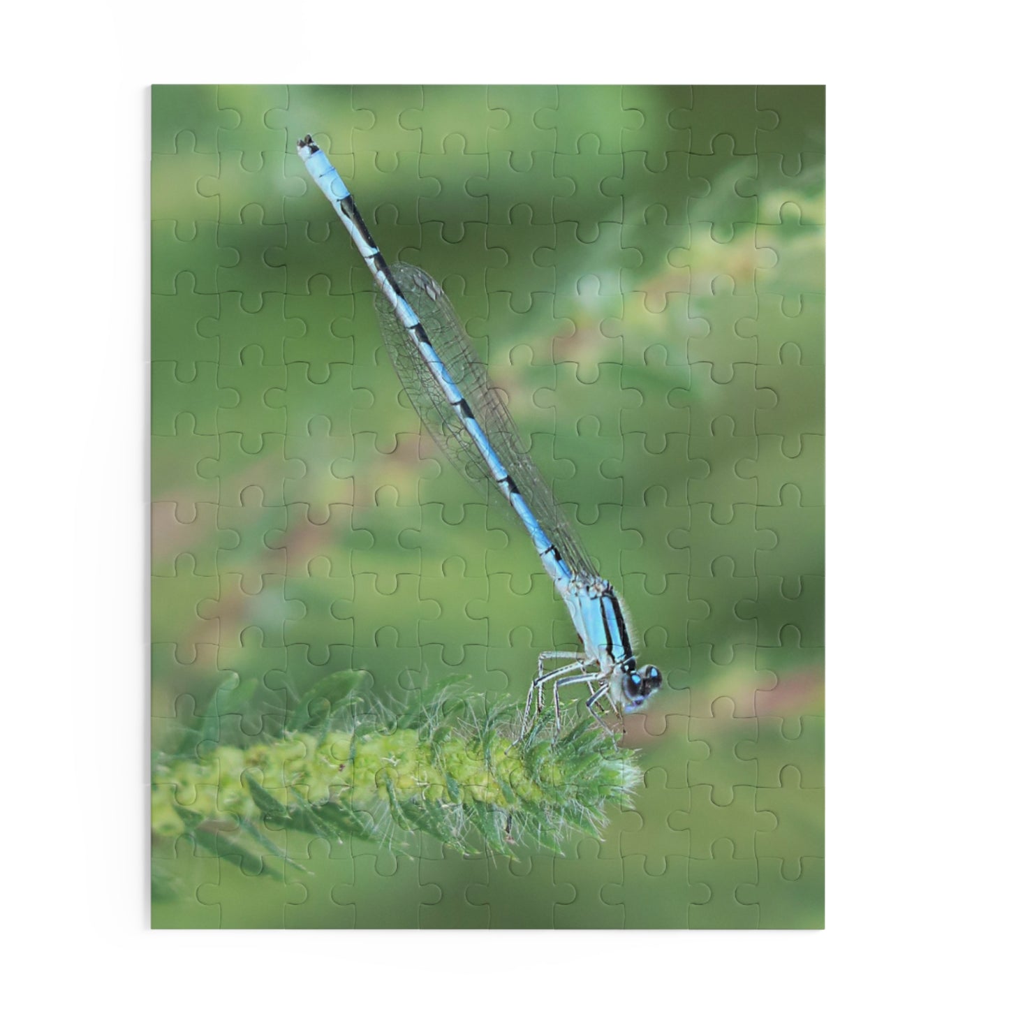 The Blue Dragonfly Puzzle (120, 252, 500-Piece)