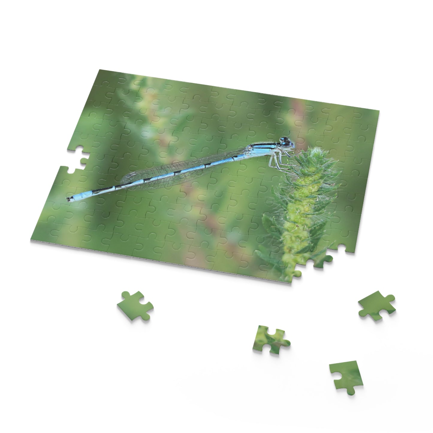 The Blue Dragonfly Puzzle (120, 252, 500-Piece)