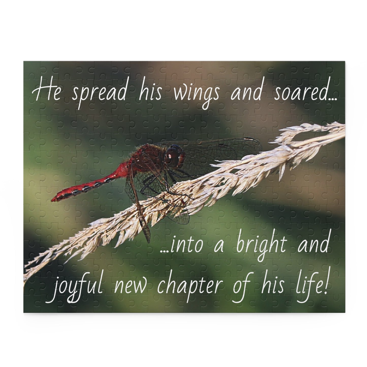The Red Dragonfly Puzzle (120, 252, 500-Piece)