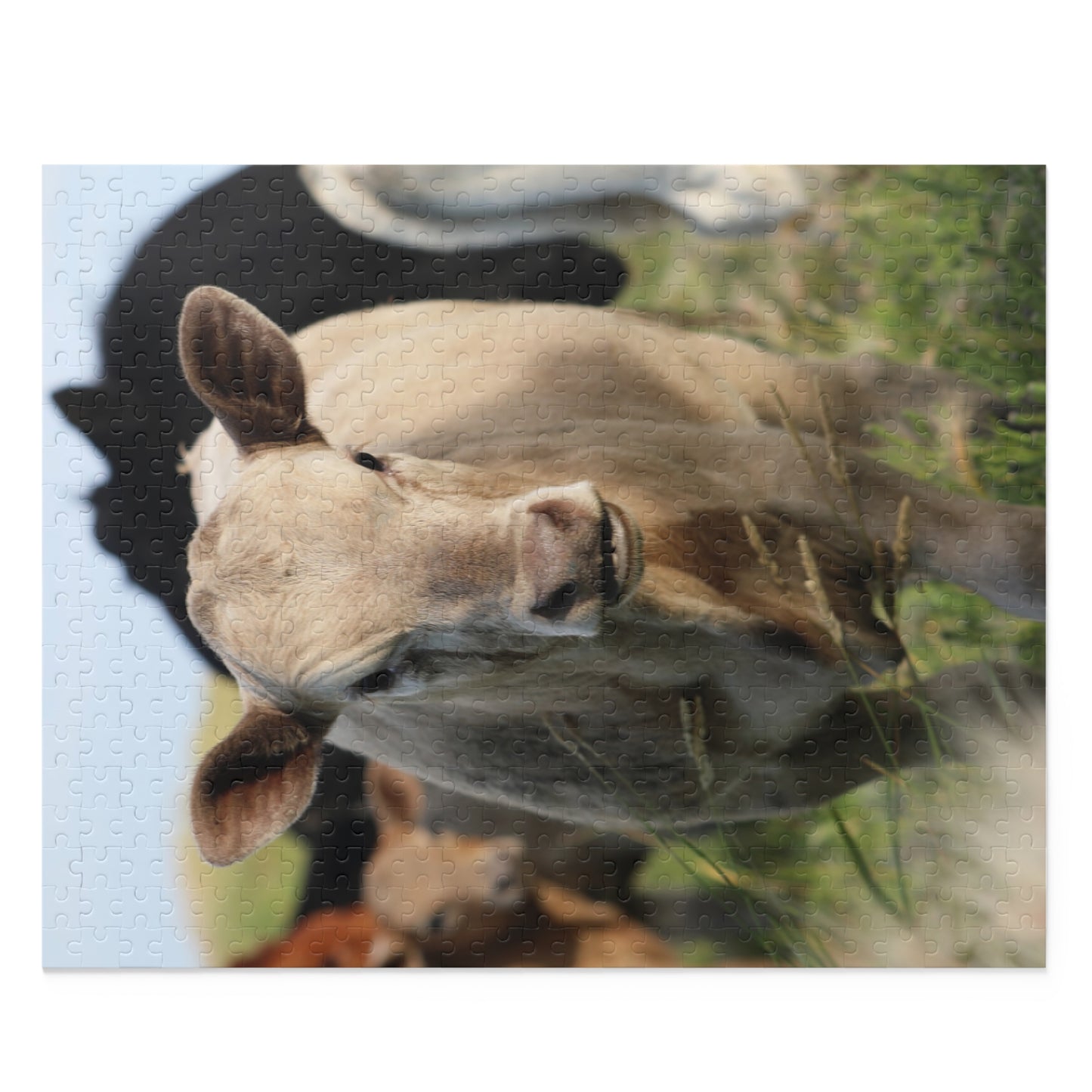 Picture Perfect Cow Puzzle (120, 252, 500-Piece)