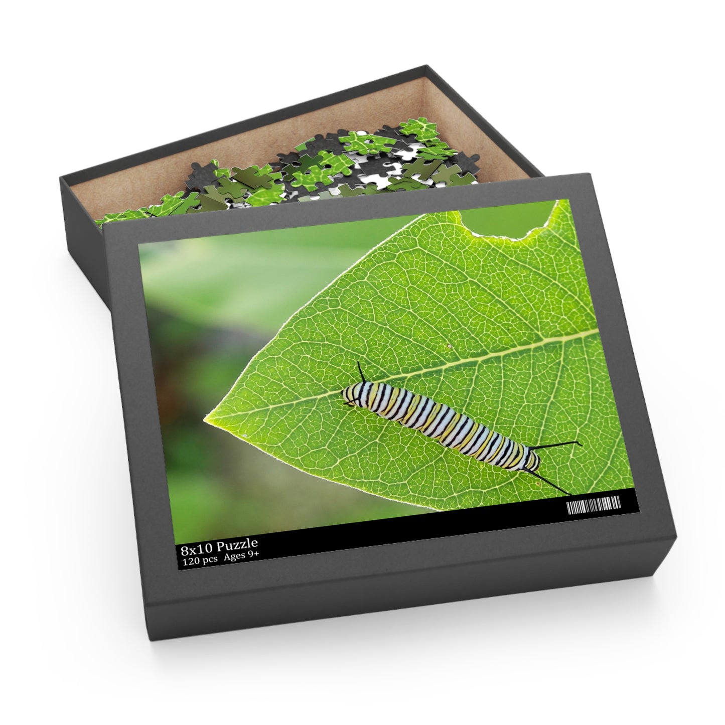 The Lazy Caterpillar Puzzle (120, 252, 500-Piece)