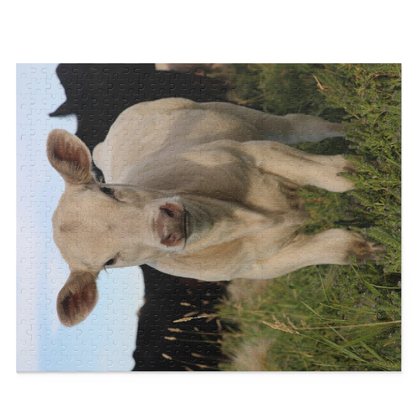 Curious Cow Puzzle (120, 252, 500-Piece)