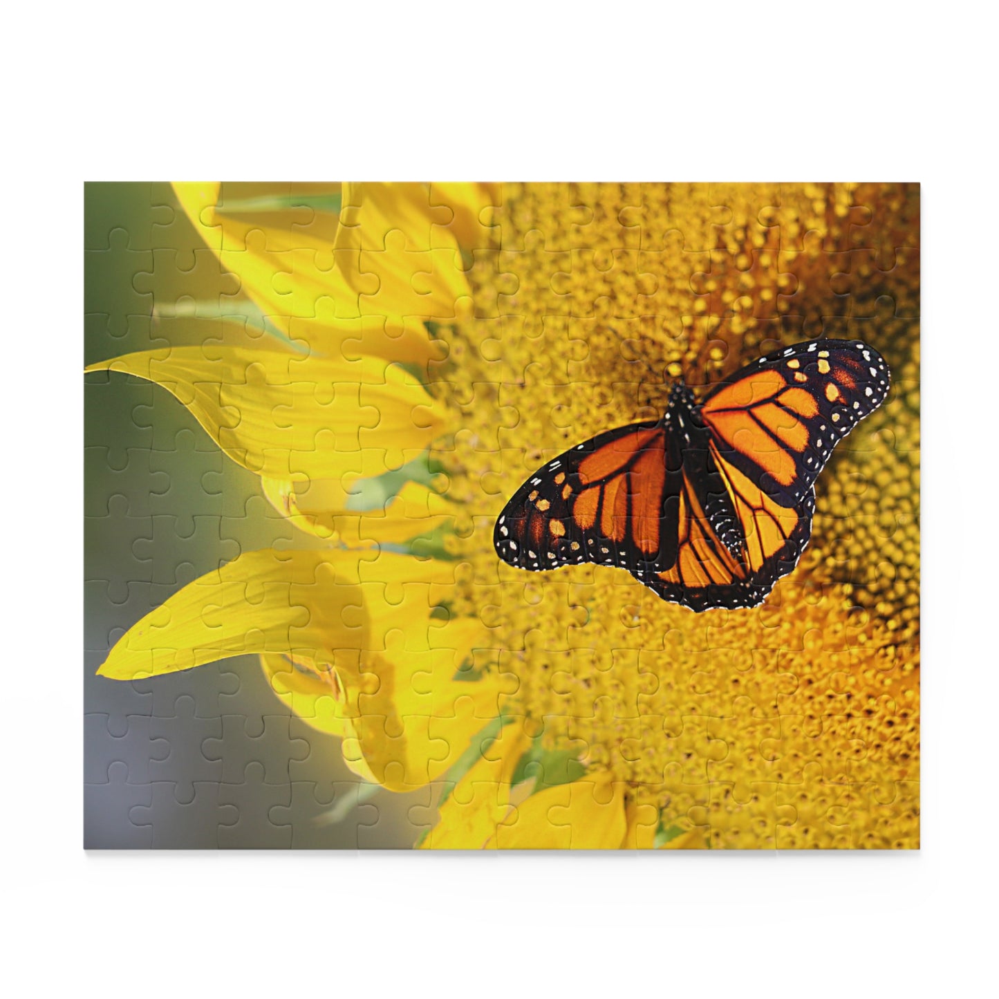 Sunflower & Butterfly (120, 252, 500-Piece)