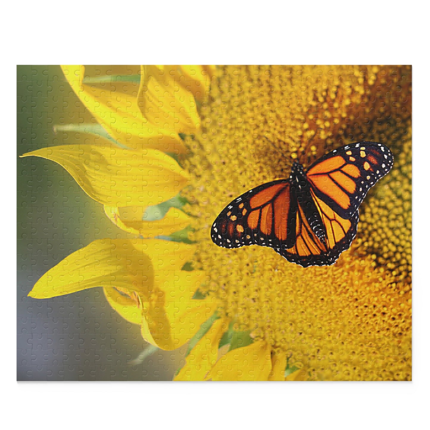 Sunflower & Butterfly (120, 252, 500-Piece)