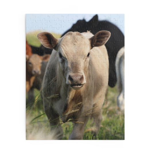 Picture Perfect Cow Puzzle (120, 252, 500-Piece)