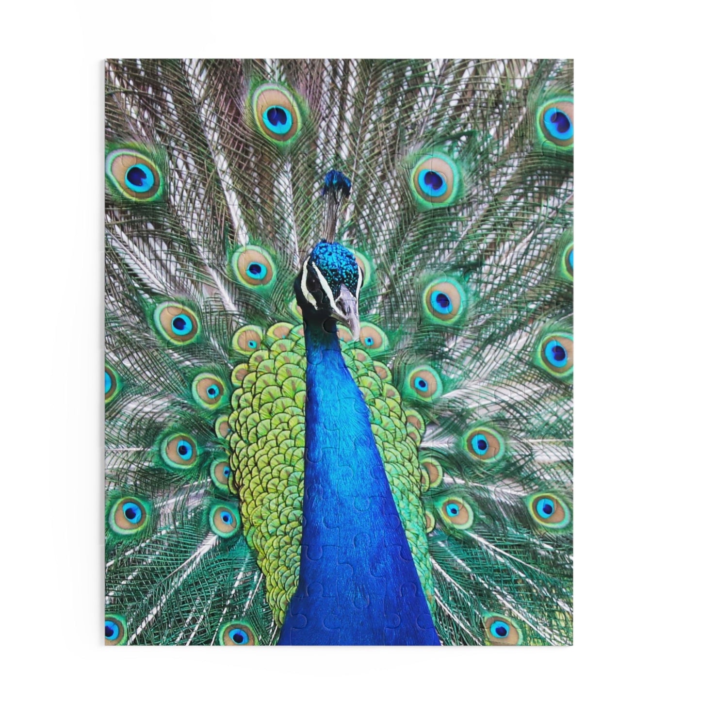 Peter the Peacock Puzzle (120, 252, 500-Piece)