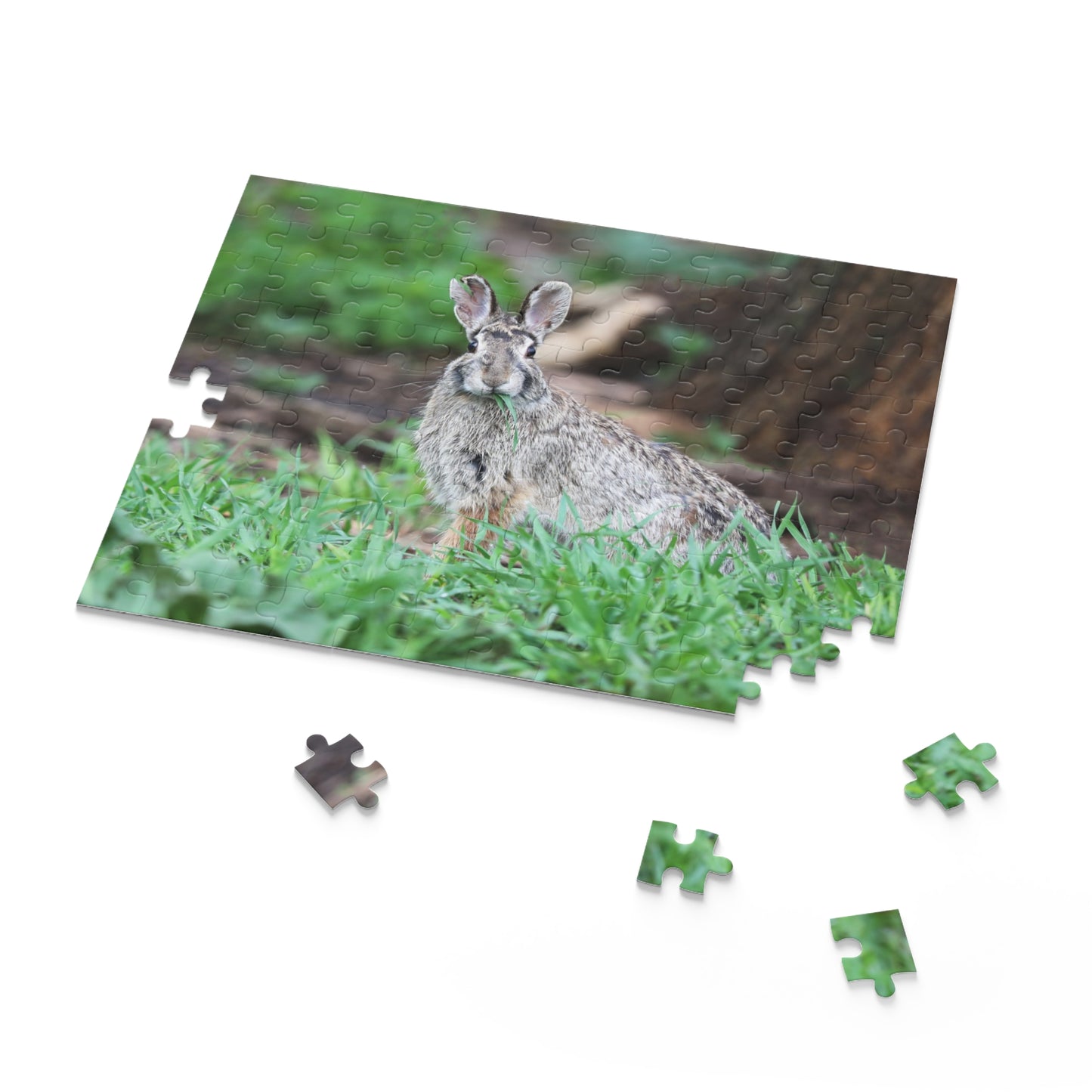 Rascal the Rabbit Puzzle (120, 252, 500-Piece)