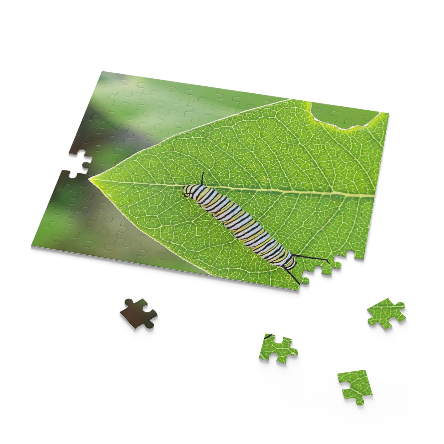 The Lazy Caterpillar Puzzle (120, 252, 500-Piece)