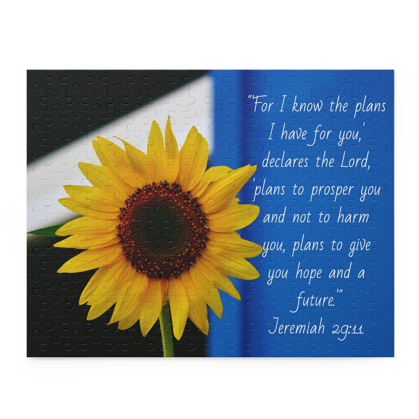 Jeremiah 29:11 Puzzle (120, 252, 500-Piece)