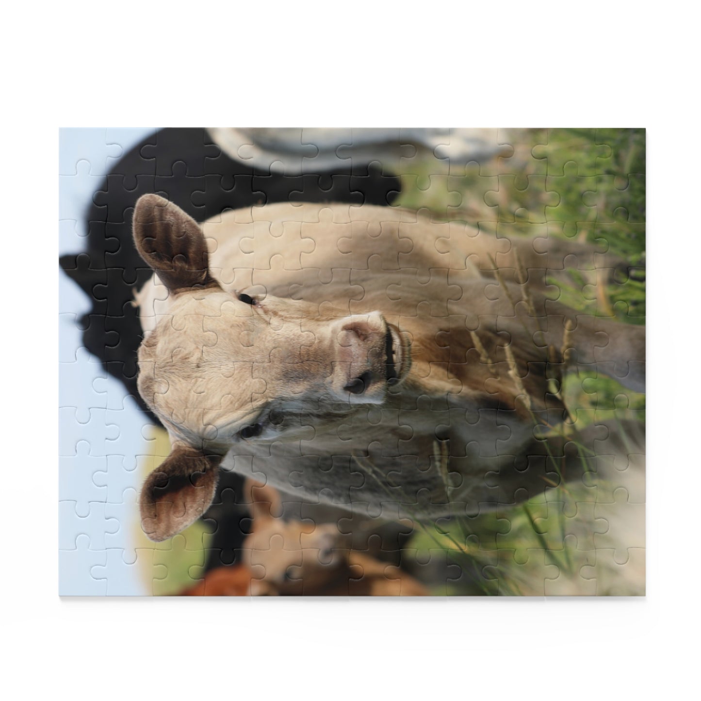 Picture Perfect Cow Puzzle (120, 252, 500-Piece)