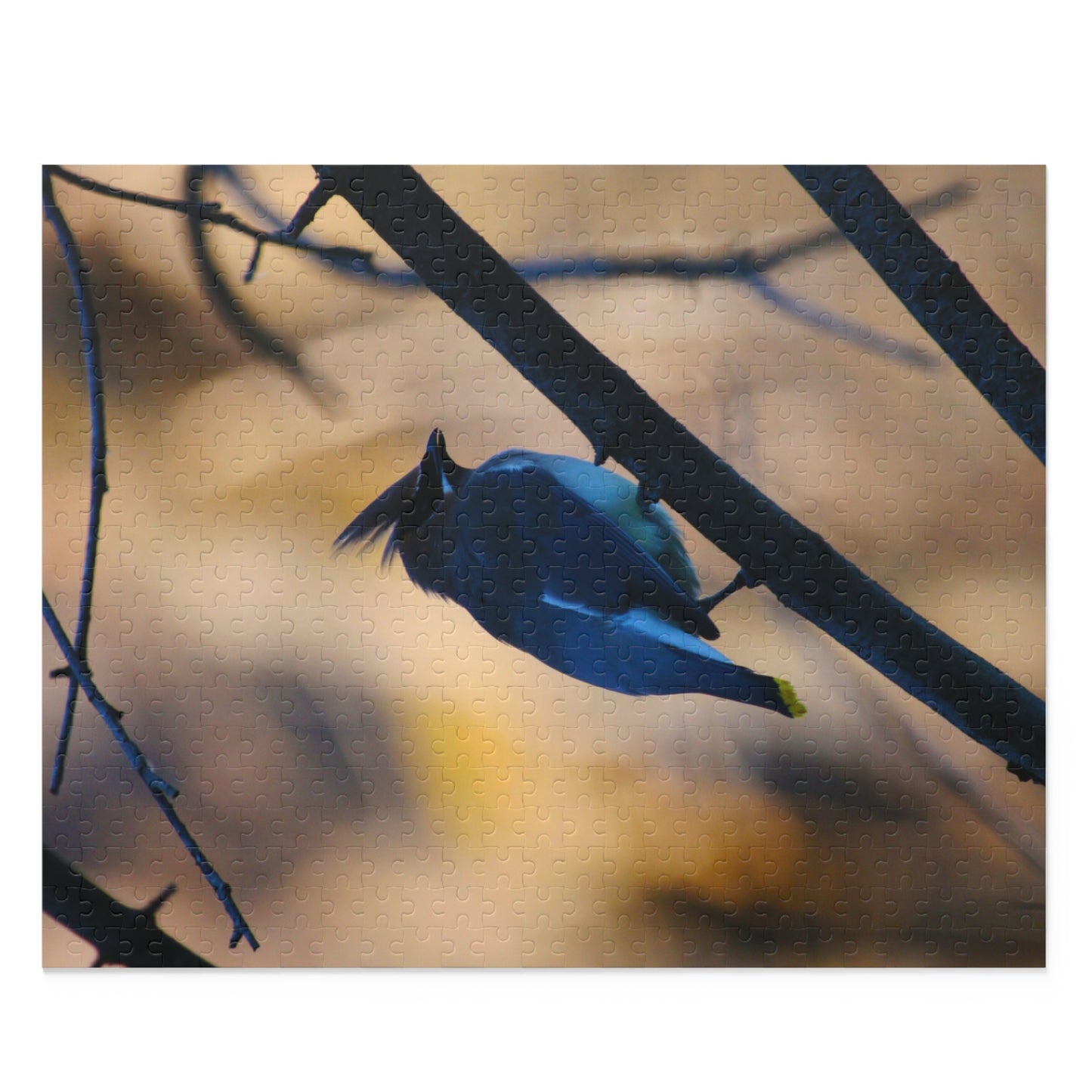 Cedar Waxwing Puzzle (120, 252, 500-Piece)