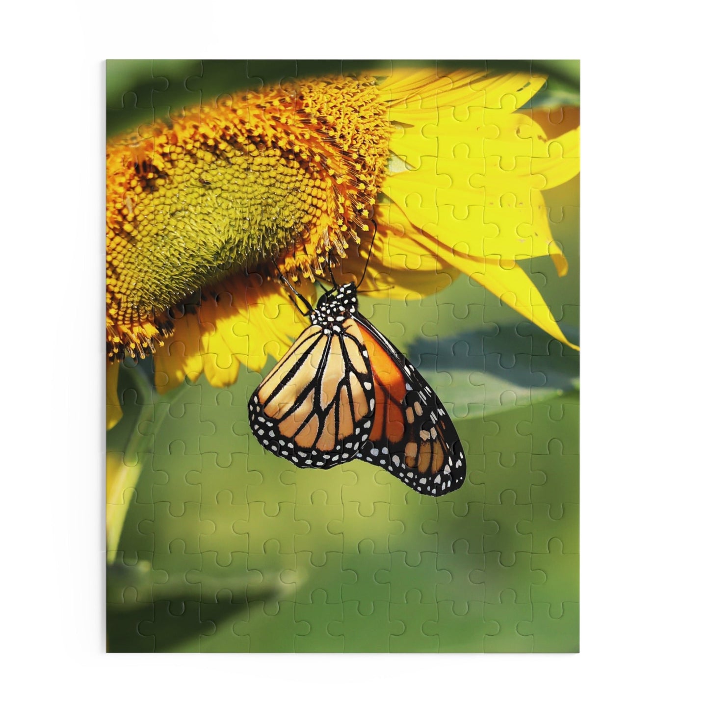 Monarch in August Puzzle (120, 252, 500-Piece)