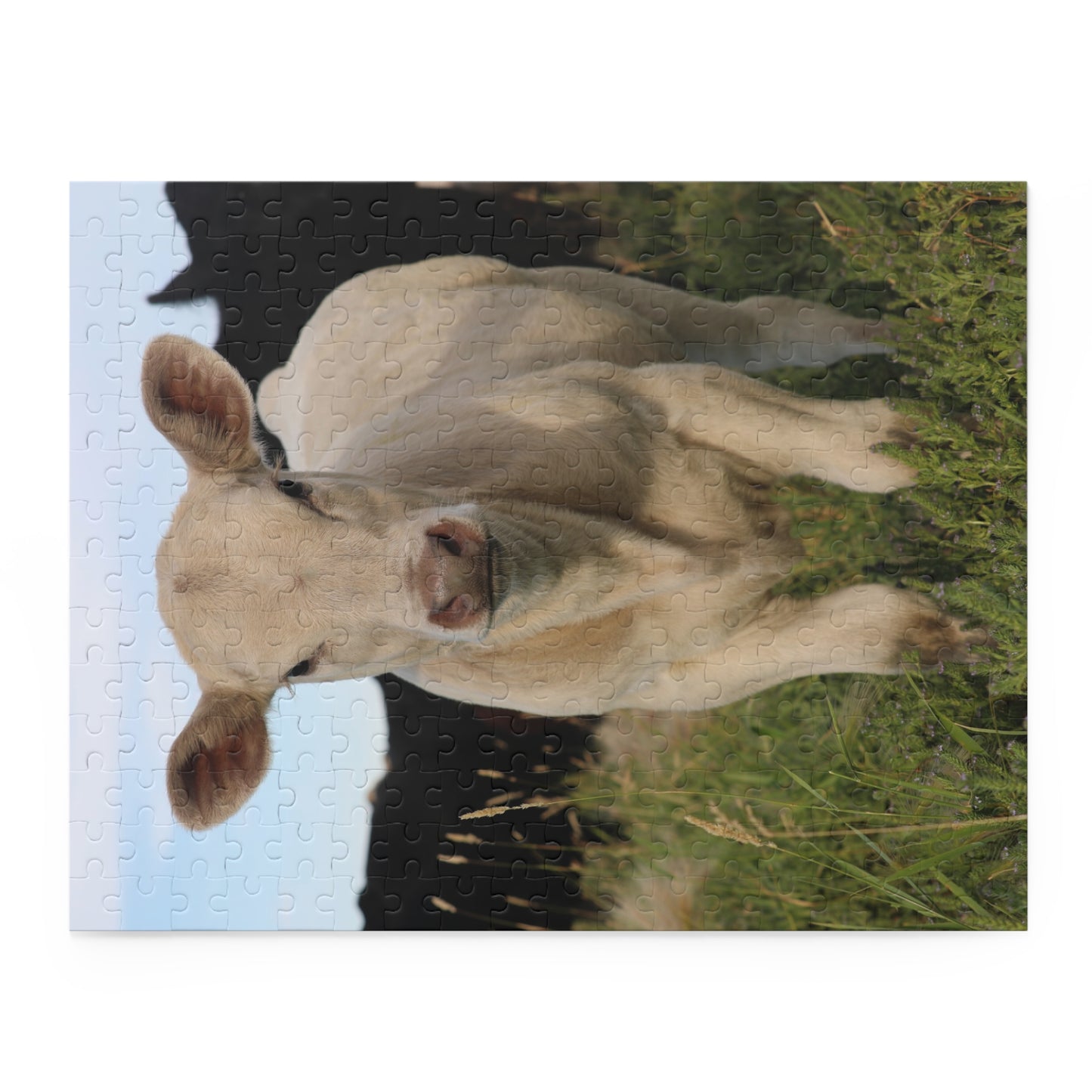 Curious Cow Puzzle (120, 252, 500-Piece)