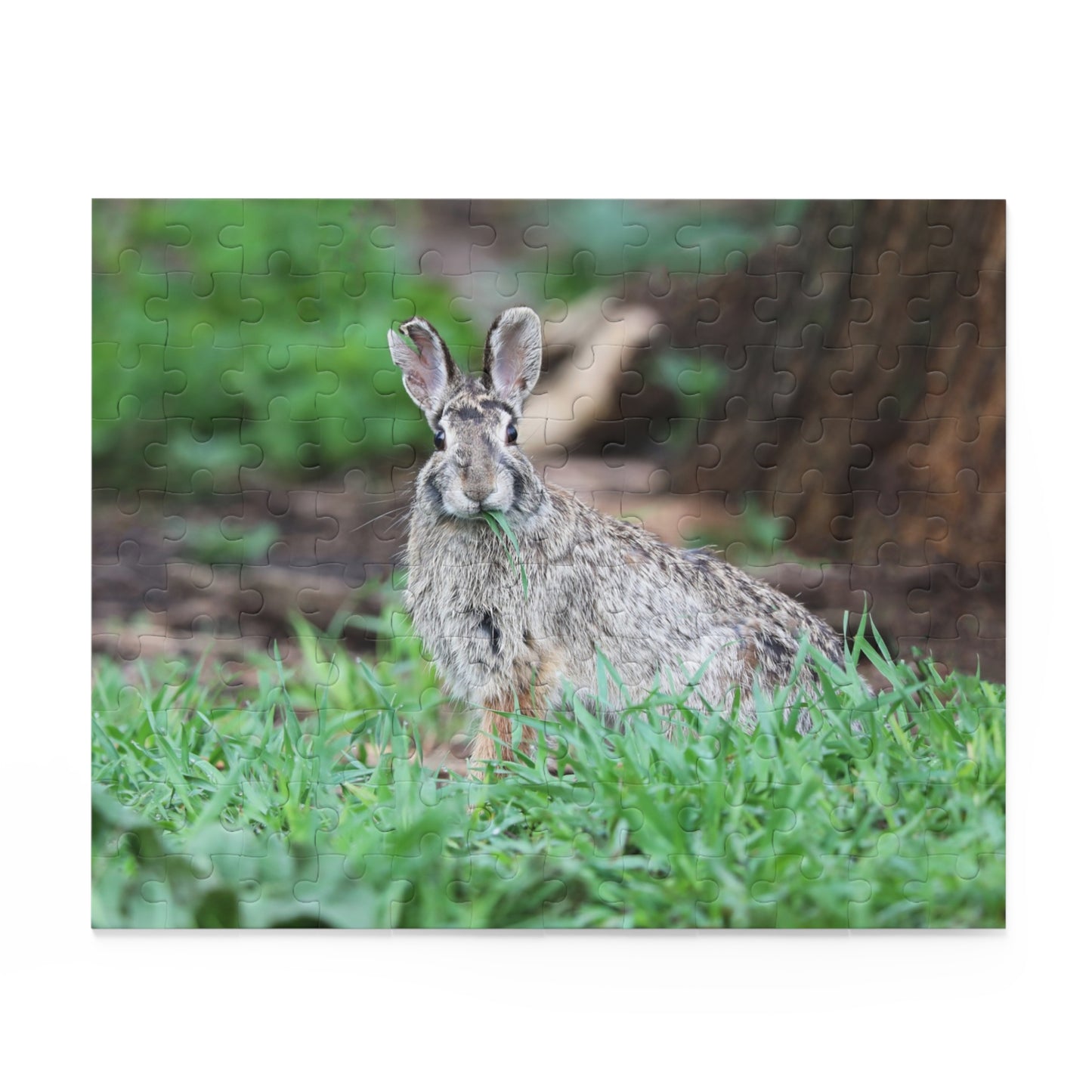 Rascal the Rabbit Puzzle (120, 252, 500-Piece)