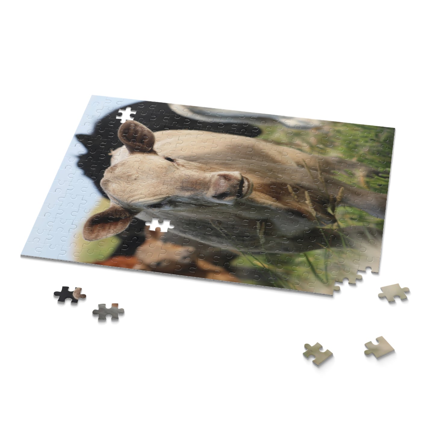 Picture Perfect Cow Puzzle (120, 252, 500-Piece)