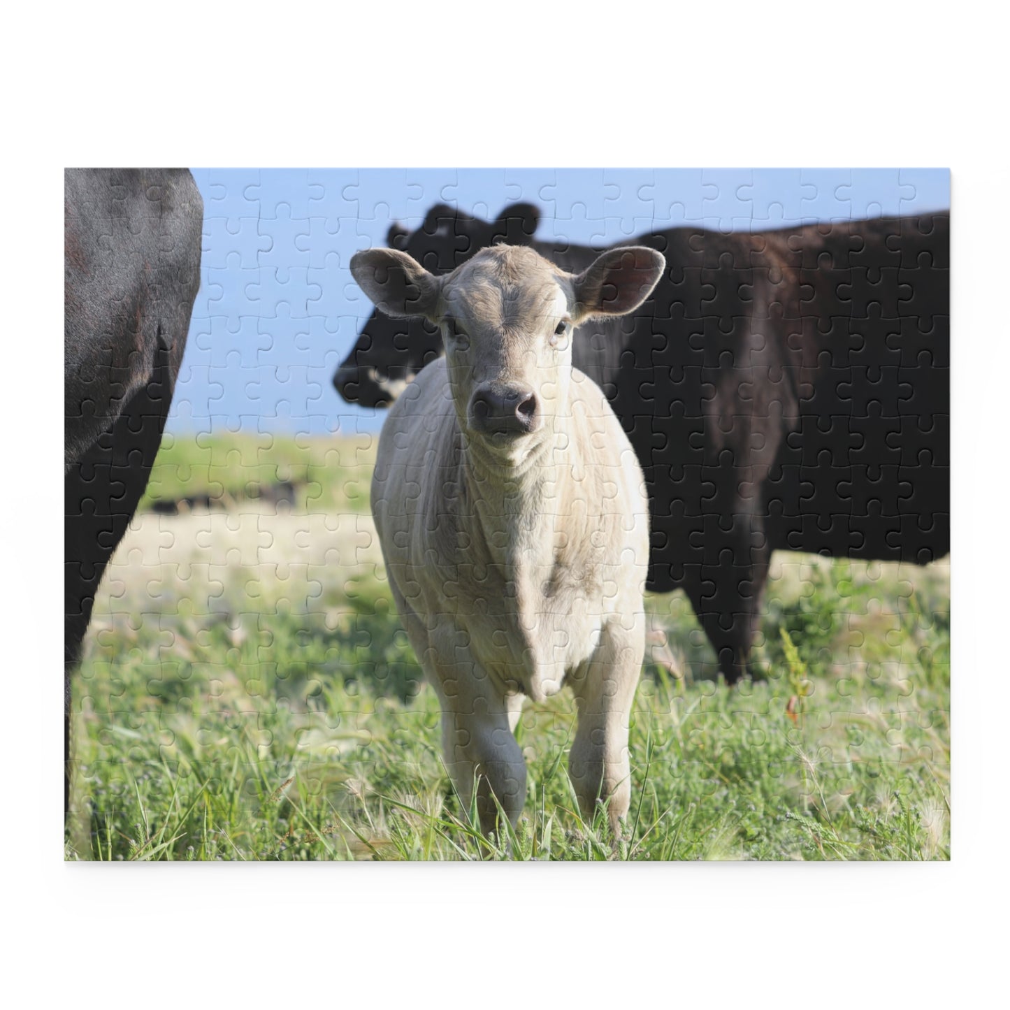 Spring Time Calf Puzzle (120, 252, 500-Piece)