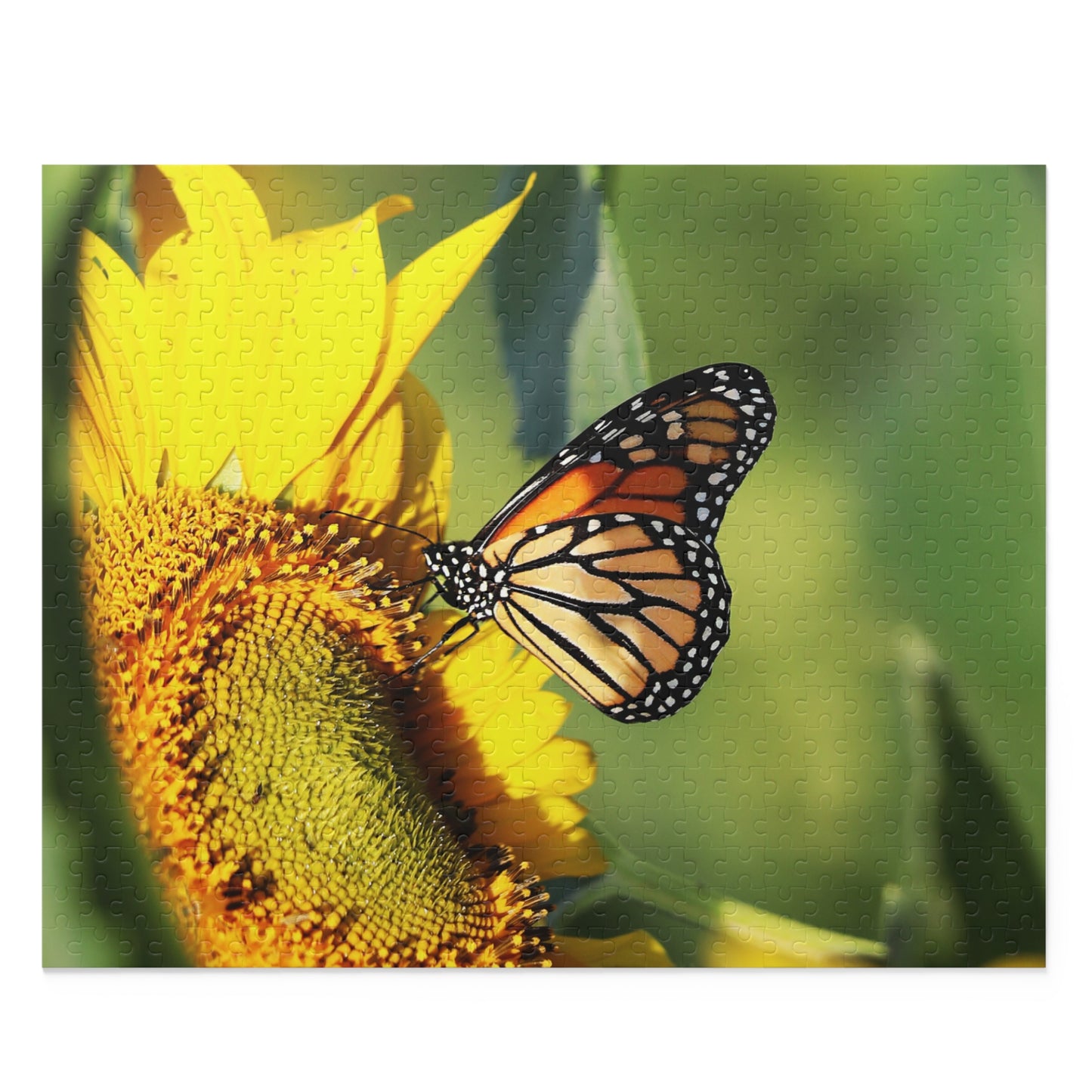 Monarch in August Puzzle (120, 252, 500-Piece)