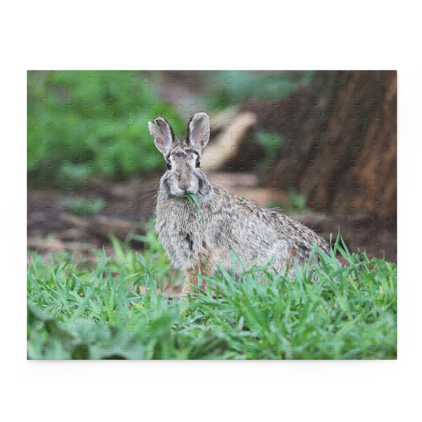 Rascal the Rabbit Puzzle (120, 252, 500-Piece)