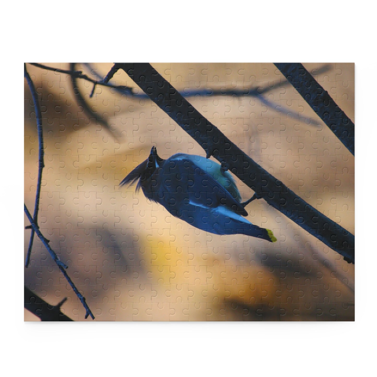 Cedar Waxwing Puzzle (120, 252, 500-Piece)