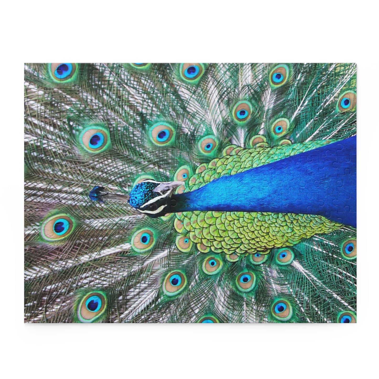 Peter the Peacock Puzzle (120, 252, 500-Piece)