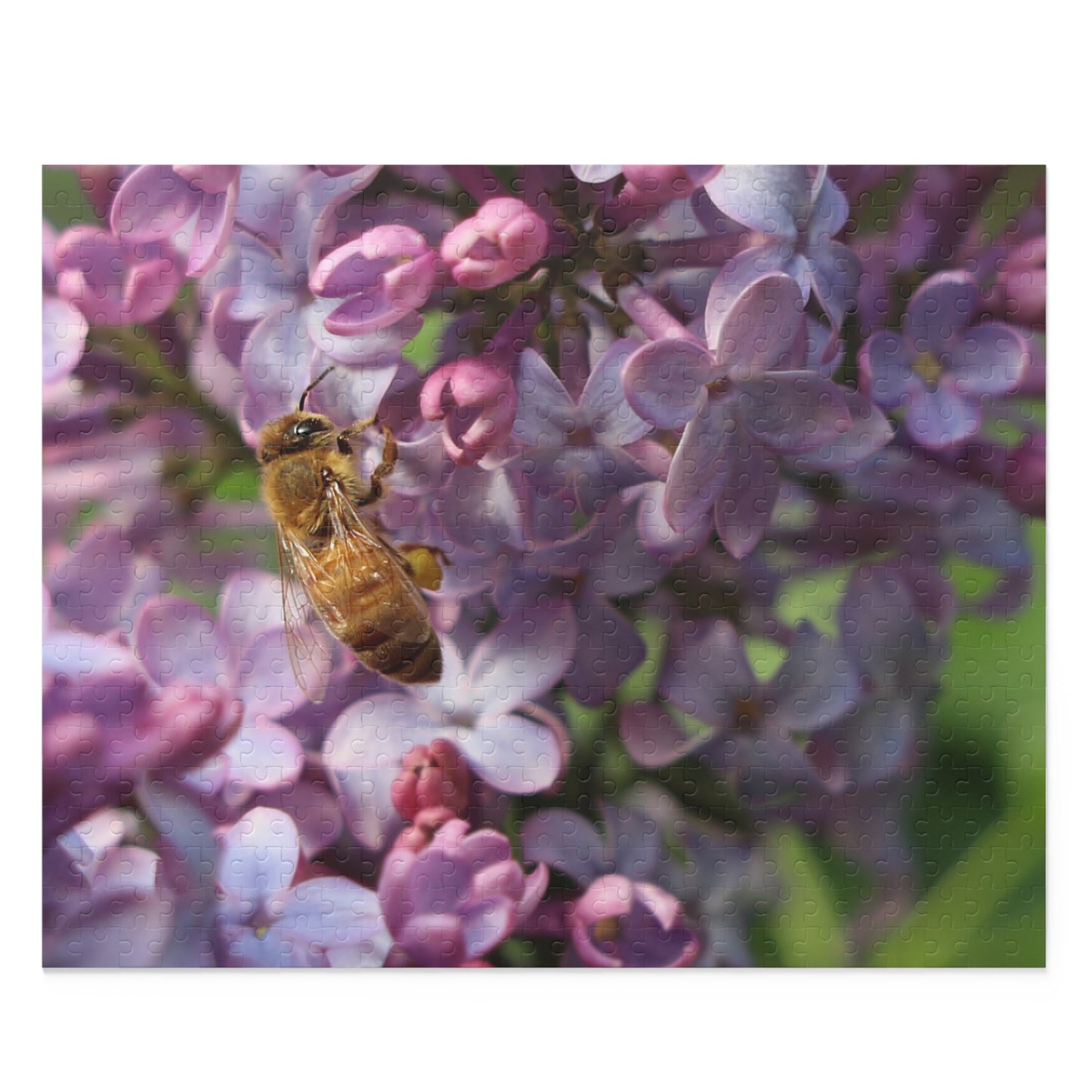 Bee and Lilacs Puzzle (120, 252, 500-Piece)