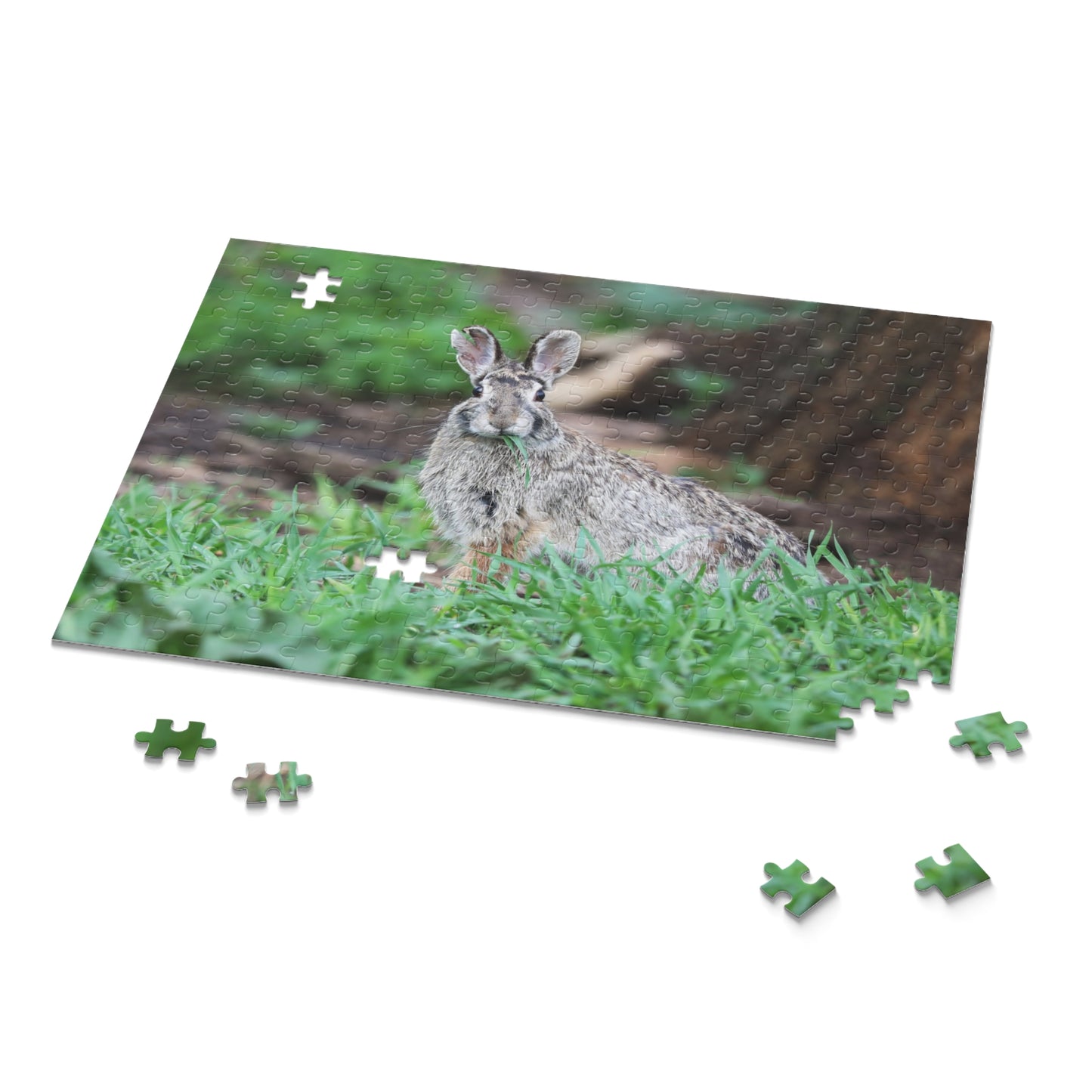 Rascal the Rabbit Puzzle (120, 252, 500-Piece)