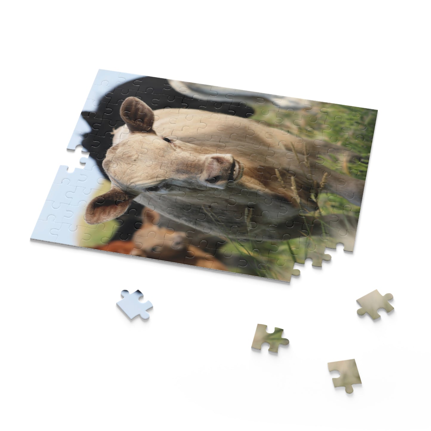 Picture Perfect Cow Puzzle (120, 252, 500-Piece)