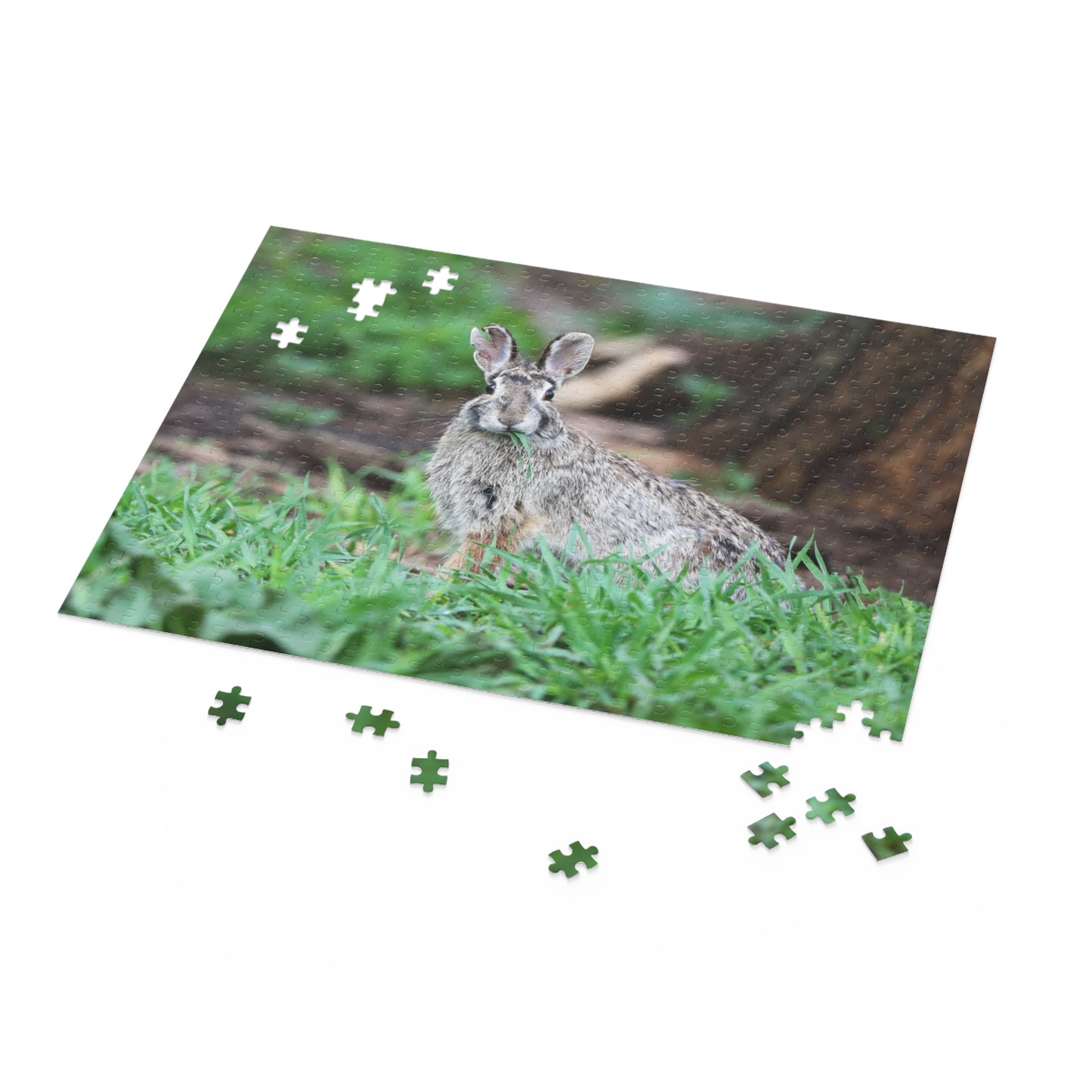 Rascal the Rabbit Puzzle (120, 252, 500-Piece)