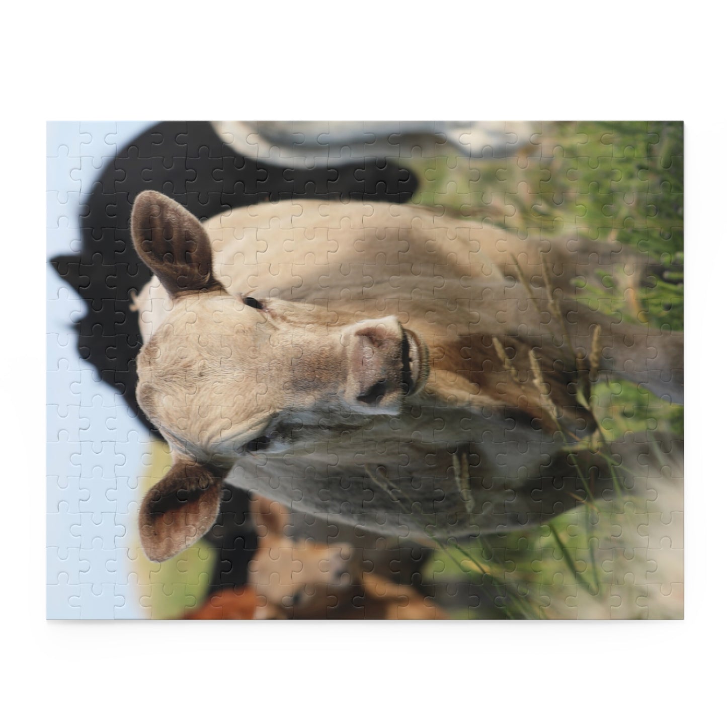 Picture Perfect Cow Puzzle (120, 252, 500-Piece)