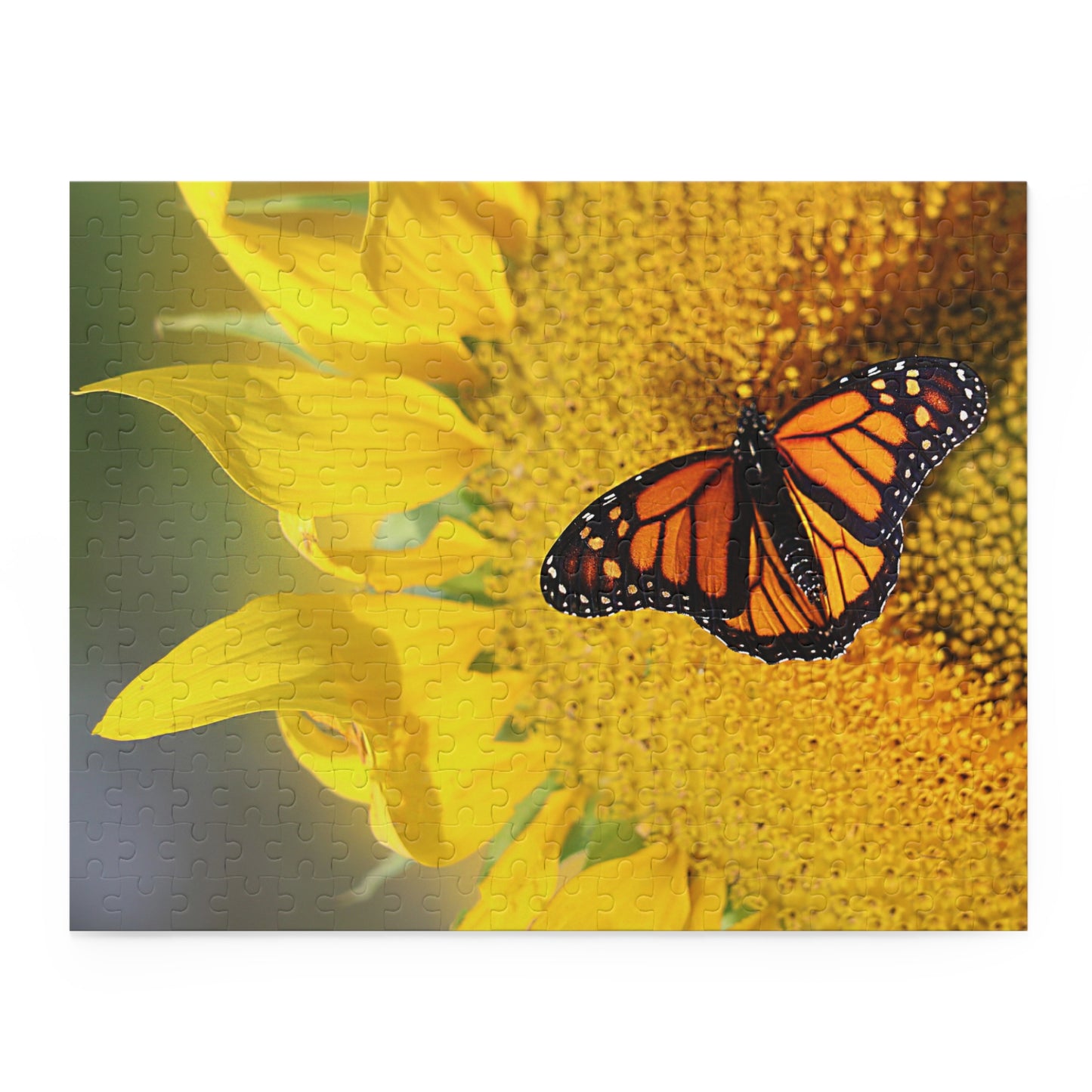 Sunflower & Butterfly (120, 252, 500-Piece)