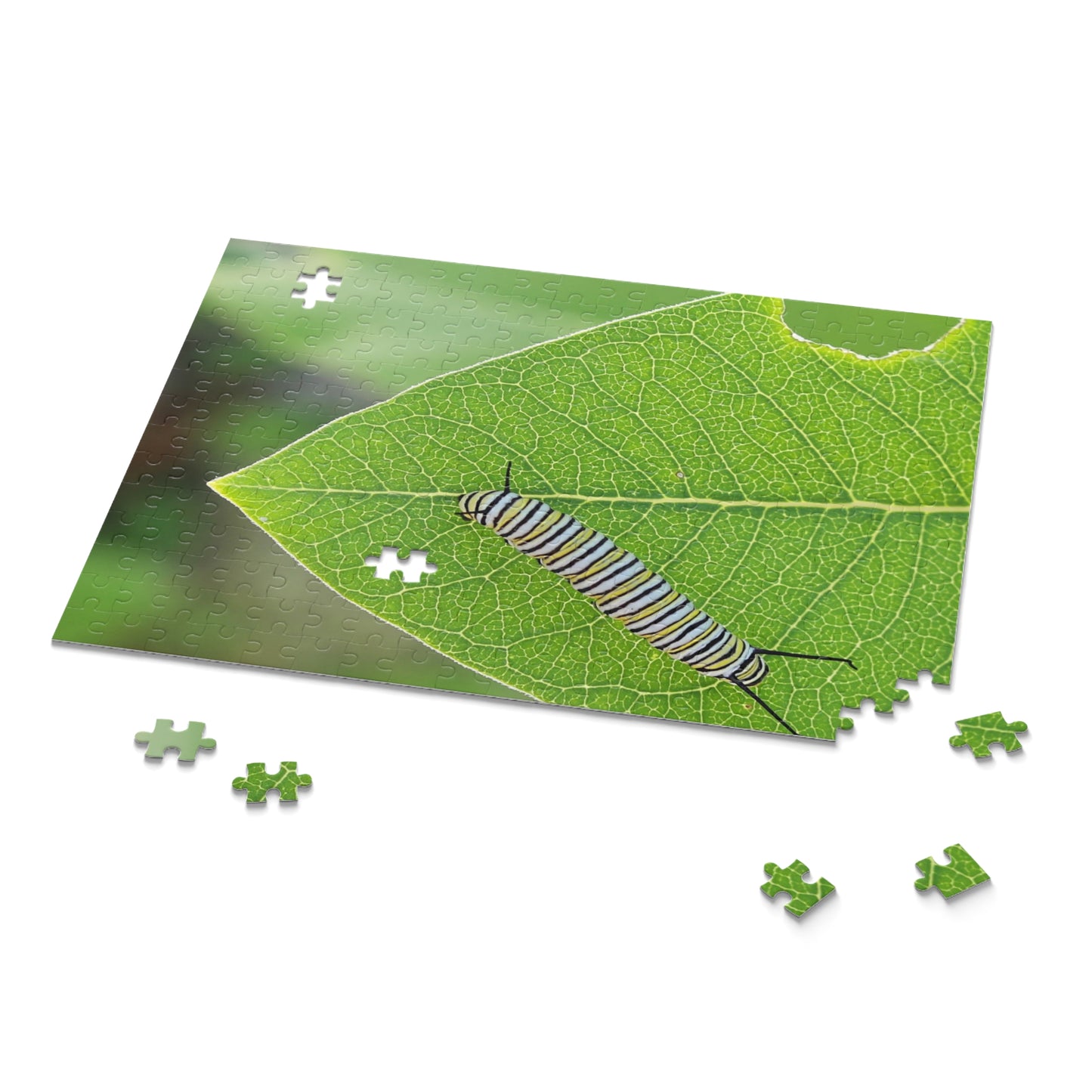 The Lazy Caterpillar Puzzle (120, 252, 500-Piece)