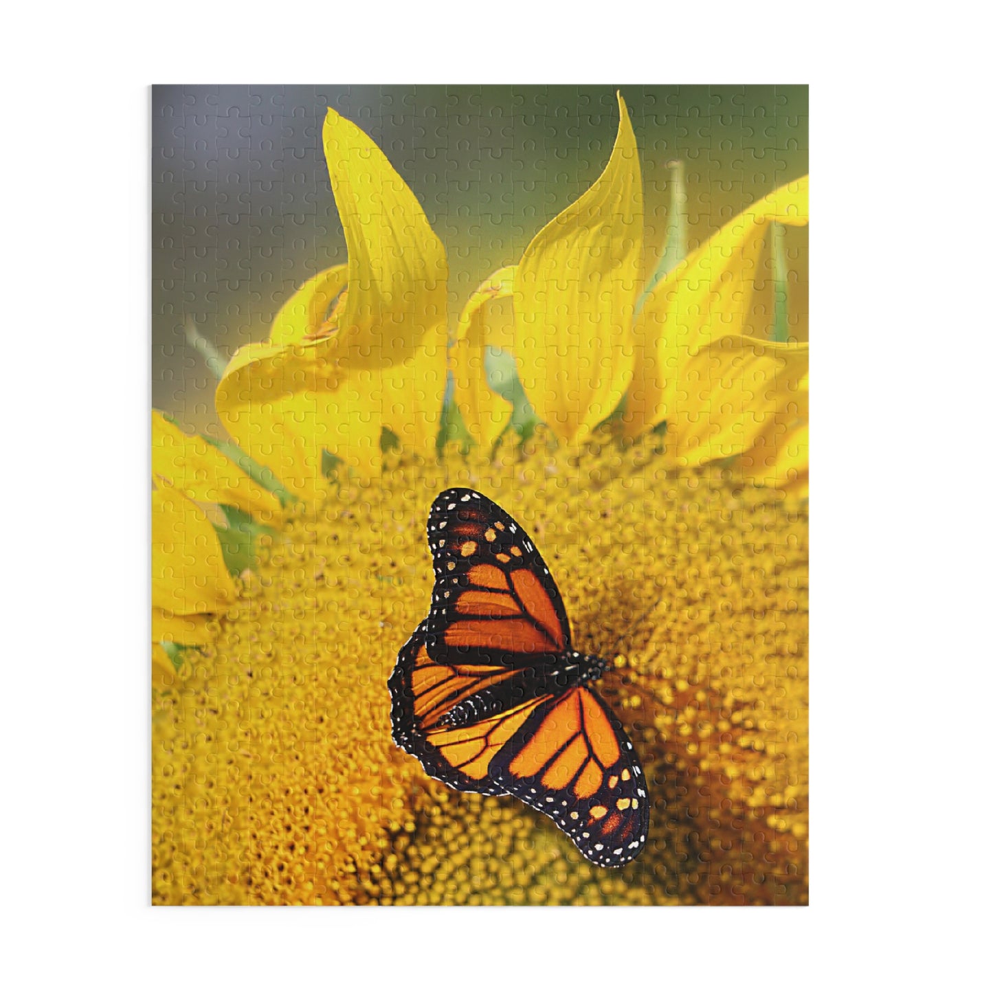 Sunflower & Butterfly (120, 252, 500-Piece)