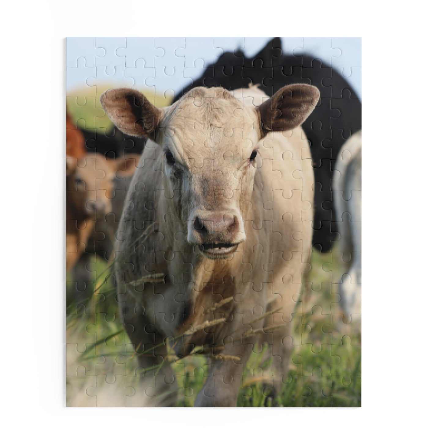 Picture Perfect Cow Puzzle (120, 252, 500-Piece)