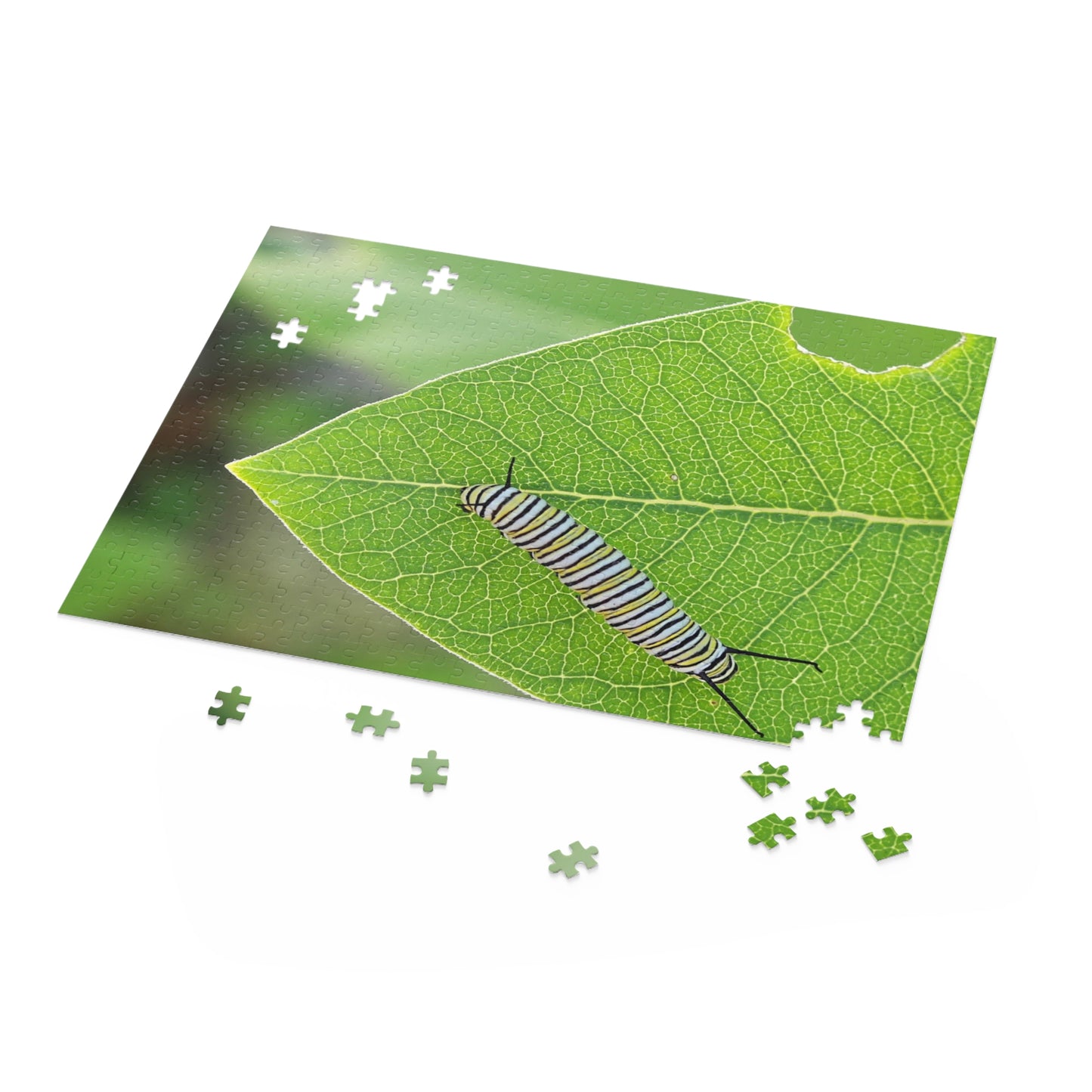 The Lazy Caterpillar Puzzle (120, 252, 500-Piece)