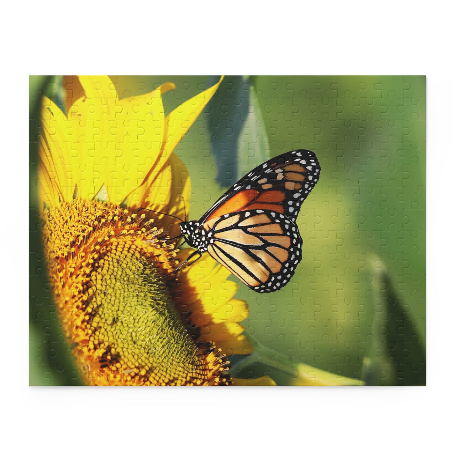 Monarch in August Puzzle (120, 252, 500-Piece)