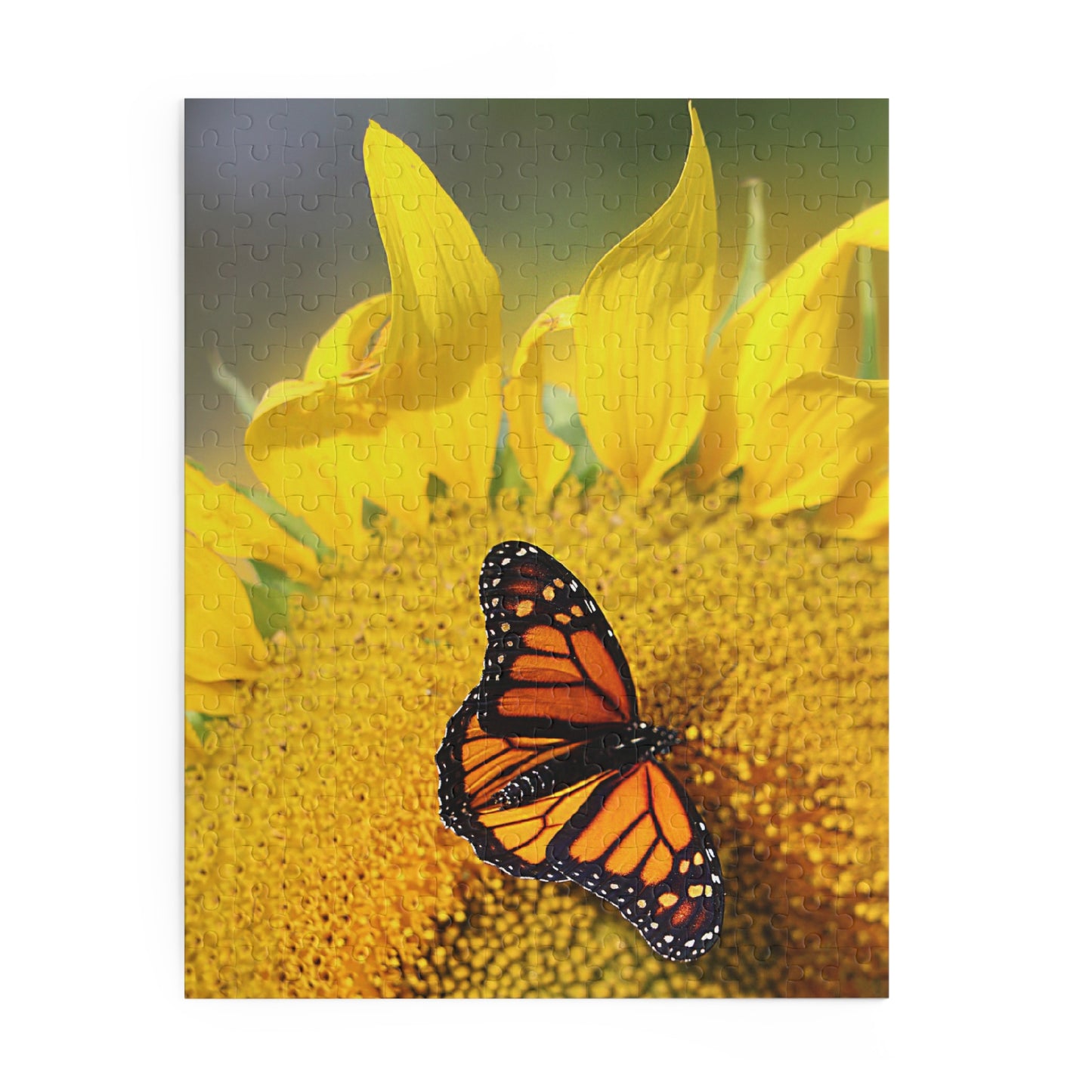 Sunflower & Butterfly (120, 252, 500-Piece)