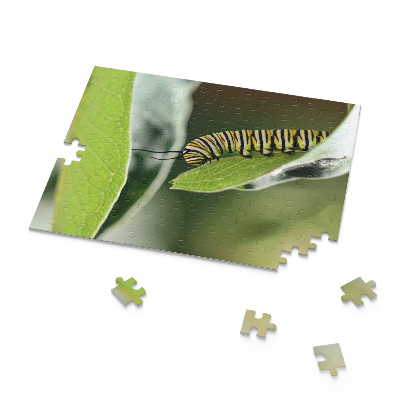 The Crazy Climbing Caterpillar Puzzle (120, 252, 500-Piece)