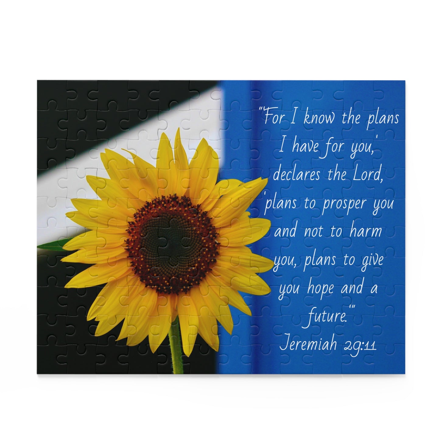 Jeremiah 29:11 Puzzle (120, 252, 500-Piece)