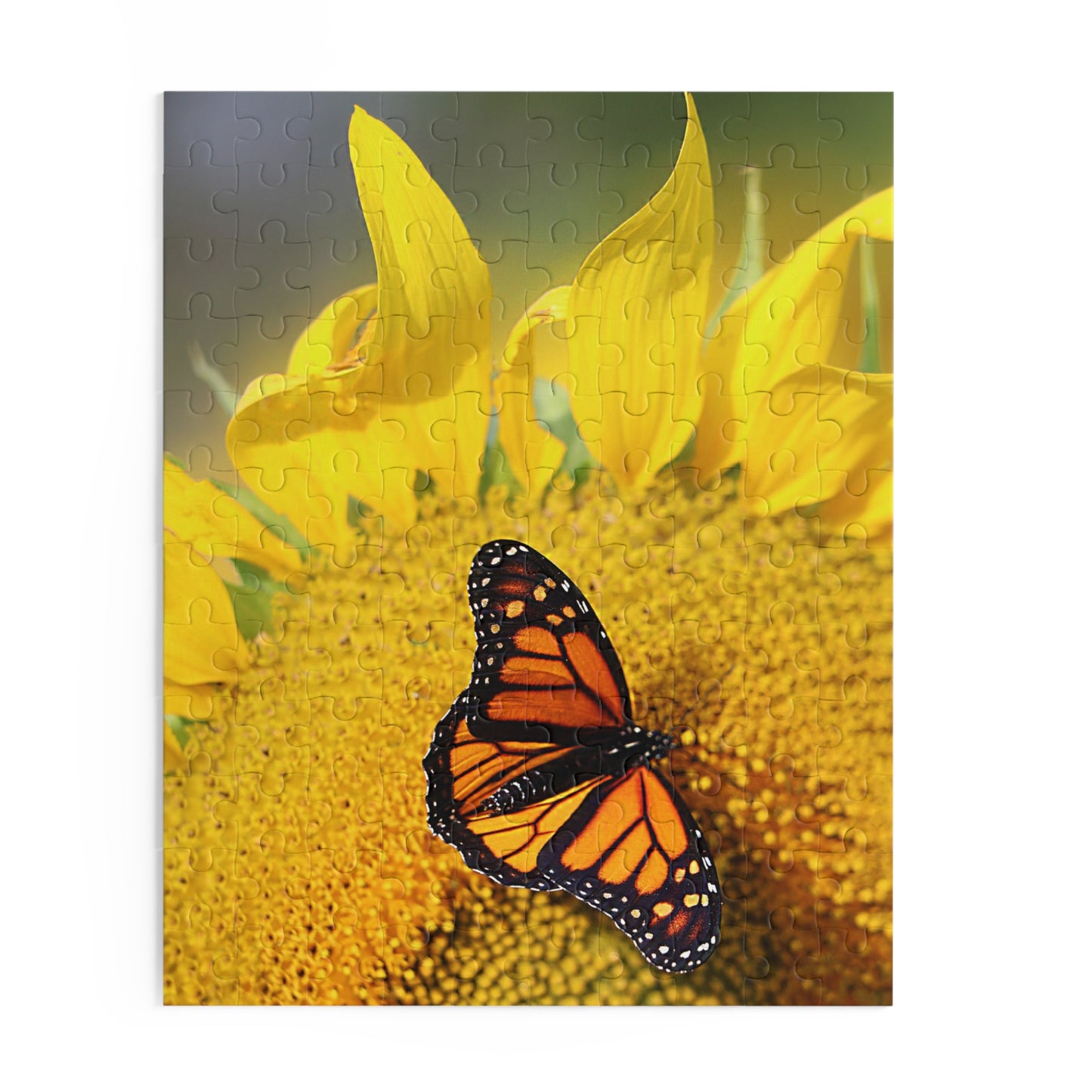 Sunflower & Butterfly (120, 252, 500-Piece)